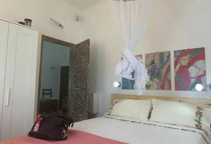 Domus Rio Papagaio