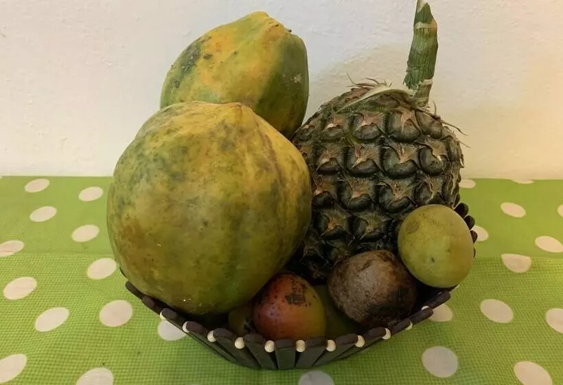 Domus Rio Papagaio