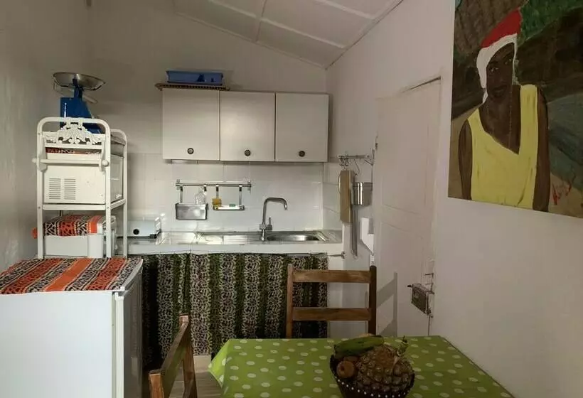 Domus Rio Papagaio