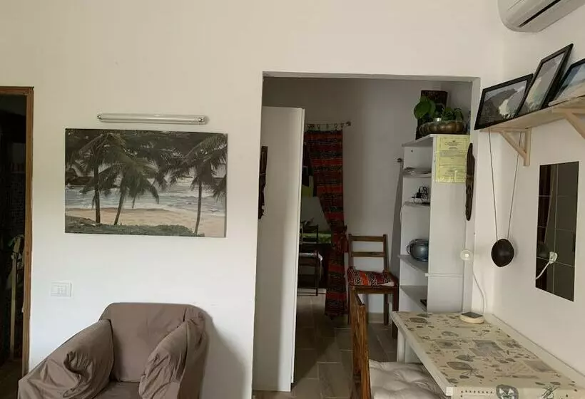 Domus Rio Papagaio