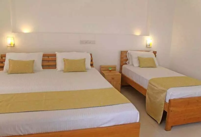 ホテル Apna Colombo