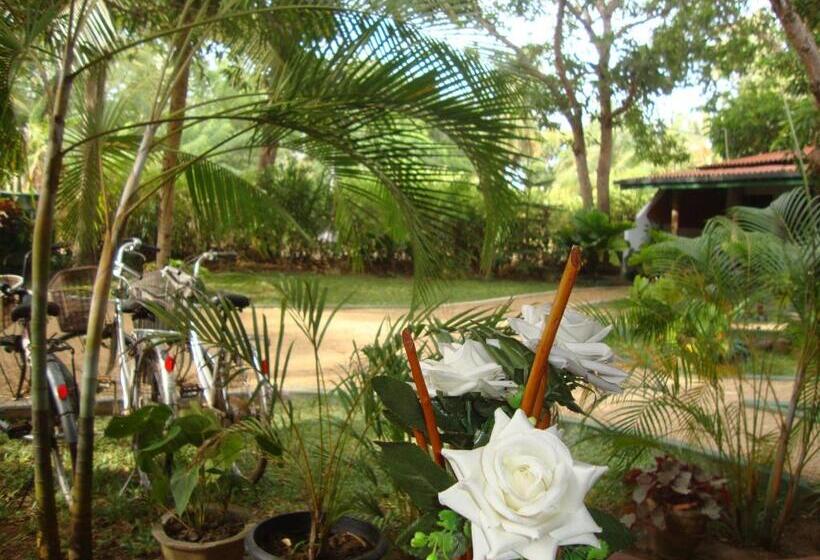 פנסיון The Nature Park Villa