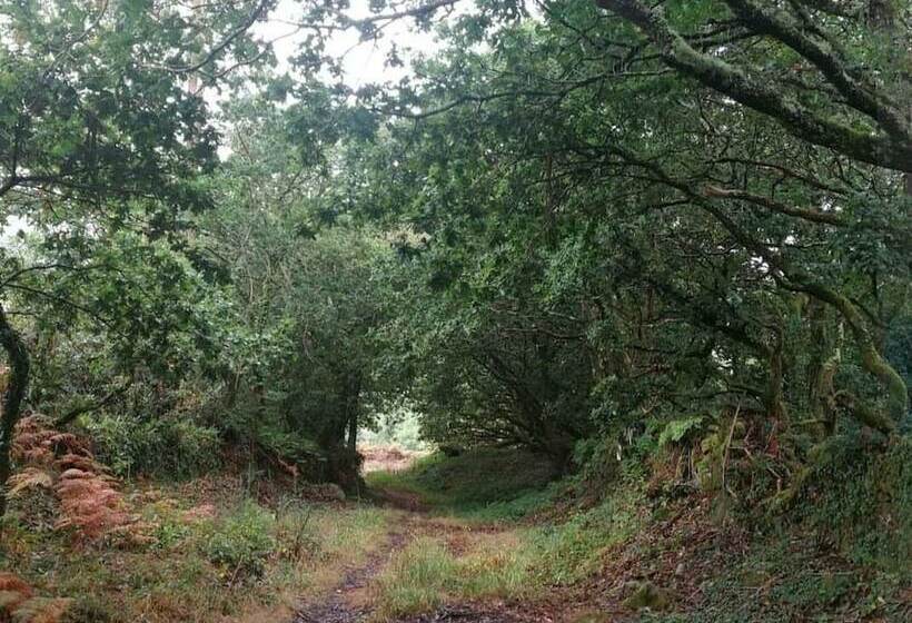 Pensão Casa A Pichona