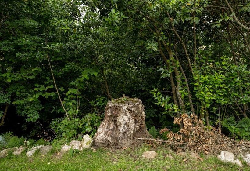 بنسيون Casa A Pichona