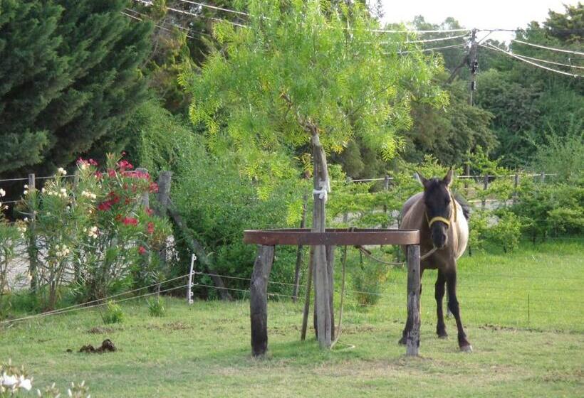 El Sendero   Güiraldes B&b