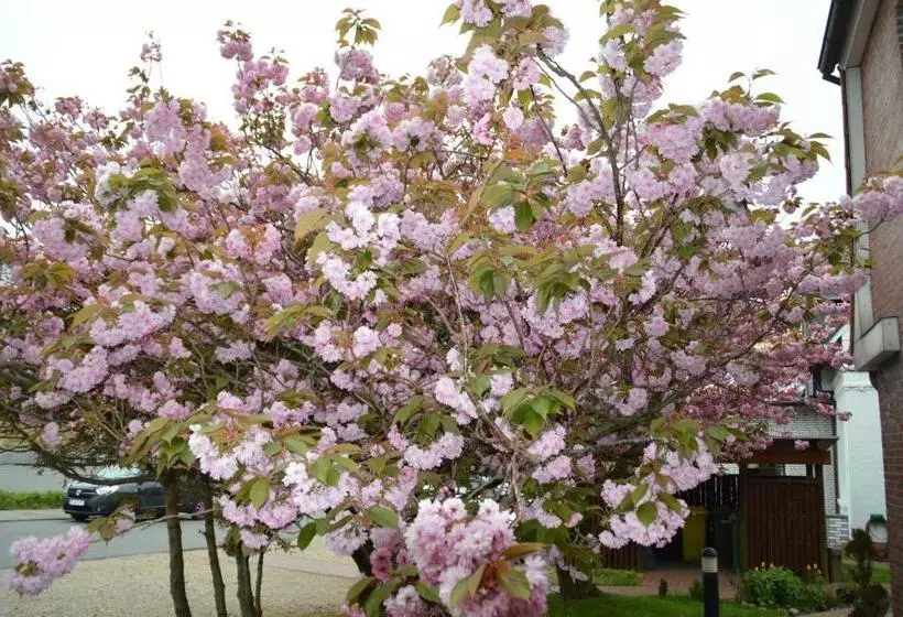 Hotelli Sudstrand Amrum