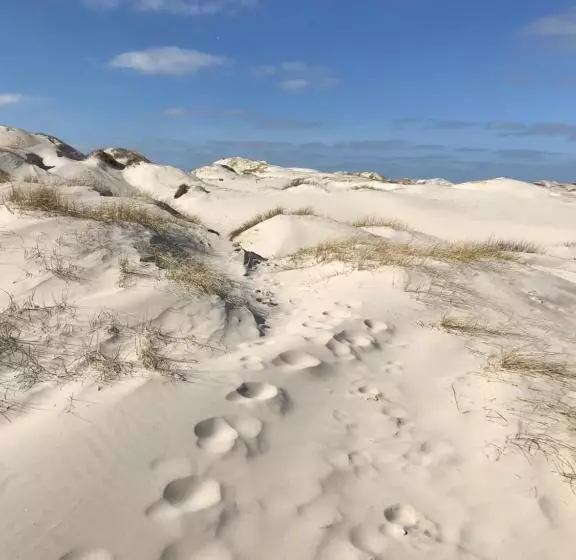 Hotelli Sudstrand Amrum