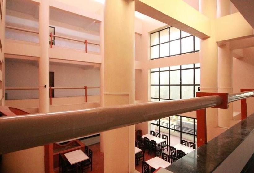 فندق The Palladium