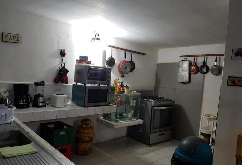 هاستل Tapihouse