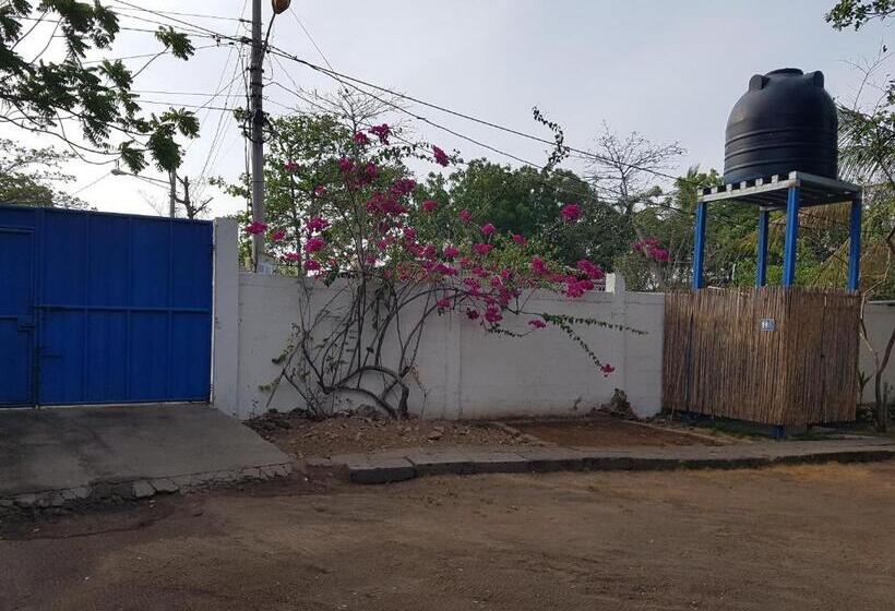 هاستل Tapihouse