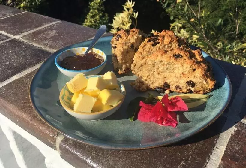 ベッドアンドブレックファースト Bare Feet Retreat