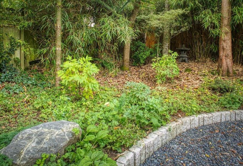 تختخواب و صبحانه Sehome Garden Inn