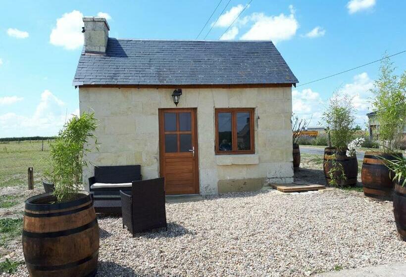 Centre équestre D Azay Le Rideau