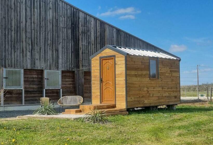 Centre équestre D Azay Le Rideau