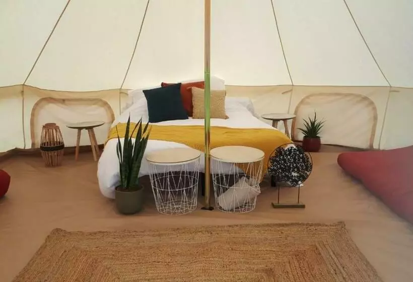 Centre équestre D Azay Le Rideau