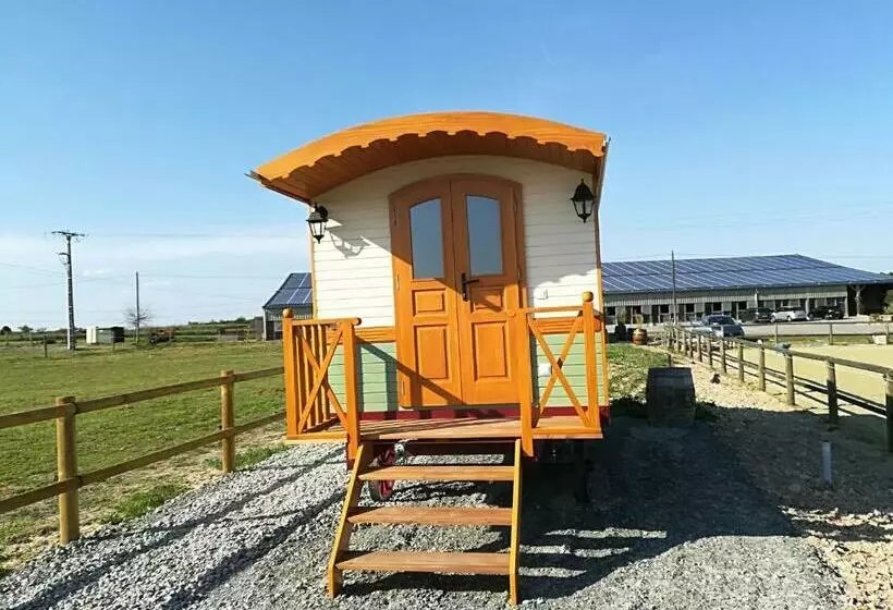 Centre équestre D Azay Le Rideau