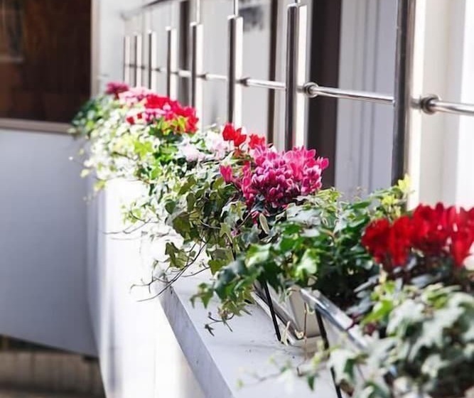 בית מלון כפרי Simple