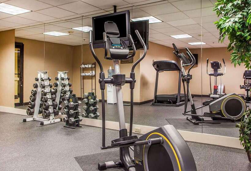 Otel Comfort Inn & Suites Somerset  New Brunswick