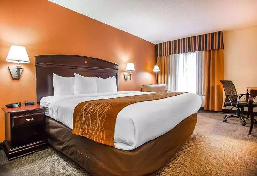 ホテル Comfort Inn & Suites Somerset New Brunswick