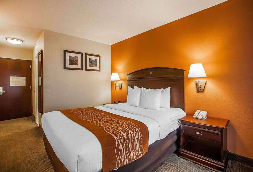 Отель Comfort Inn & Suites Somerset New Brunswick