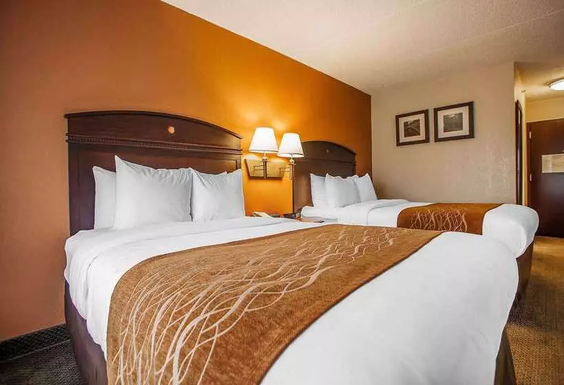 ホテル Comfort Inn & Suites Somerset New Brunswick