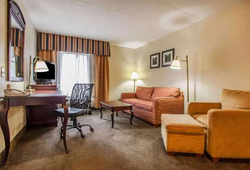 ホテル Comfort Inn & Suites Somerset New Brunswick