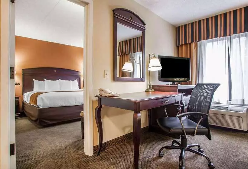 ホテル Comfort Inn & Suites Somerset New Brunswick