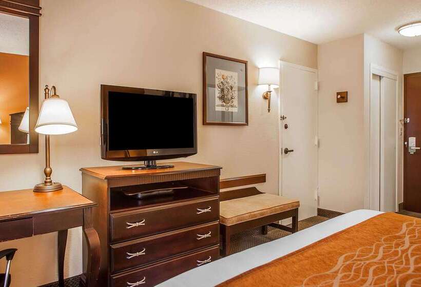 Otel Comfort Inn & Suites Somerset  New Brunswick