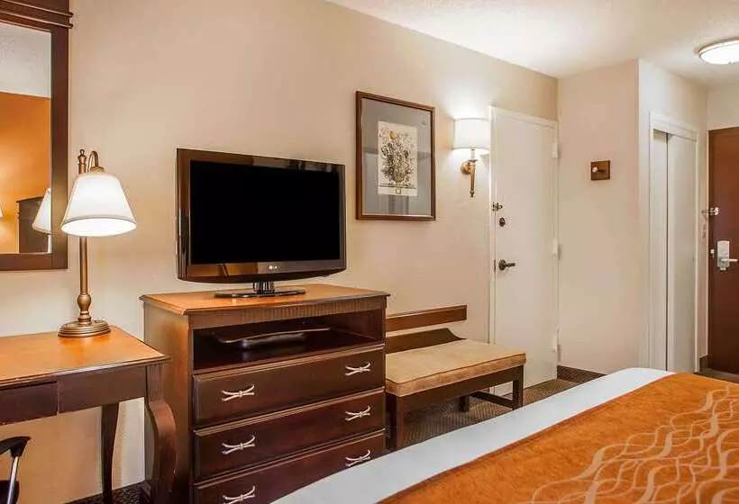 ホテル Comfort Inn & Suites Somerset New Brunswick