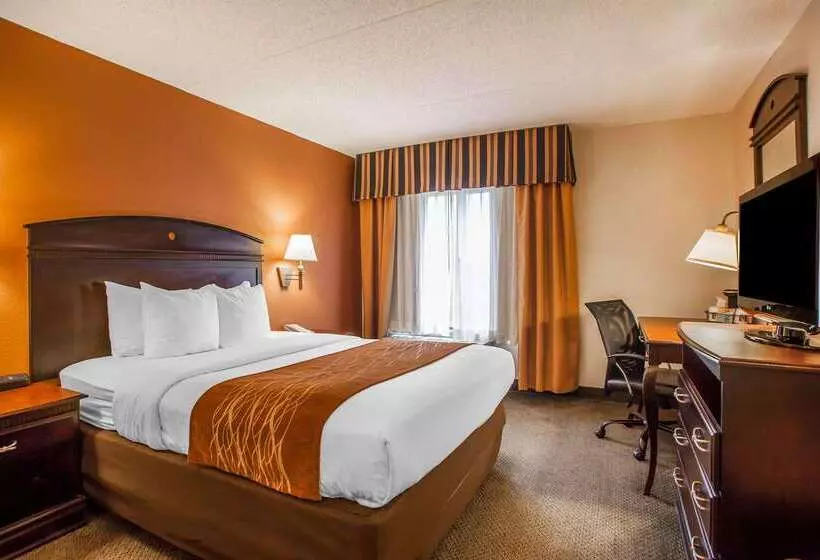 ホテル Comfort Inn & Suites Somerset New Brunswick