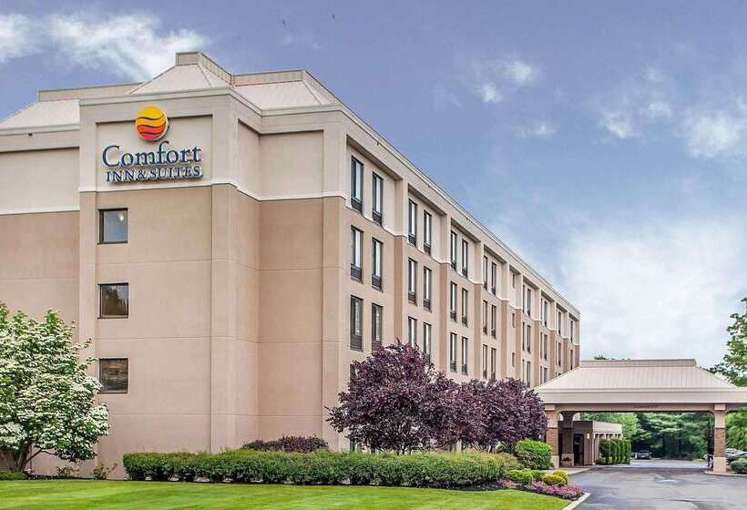 Otel Comfort Inn & Suites Somerset  New Brunswick