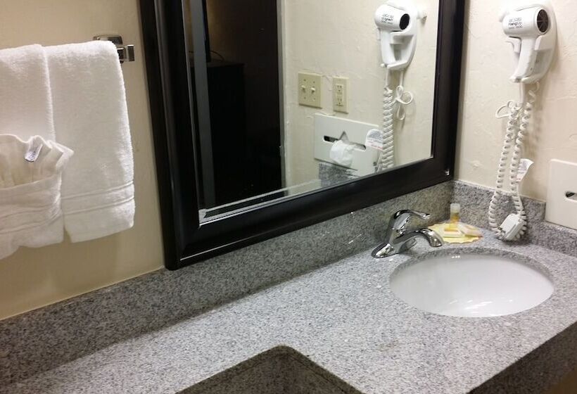 Otel Days Inn By Wyndham Norman