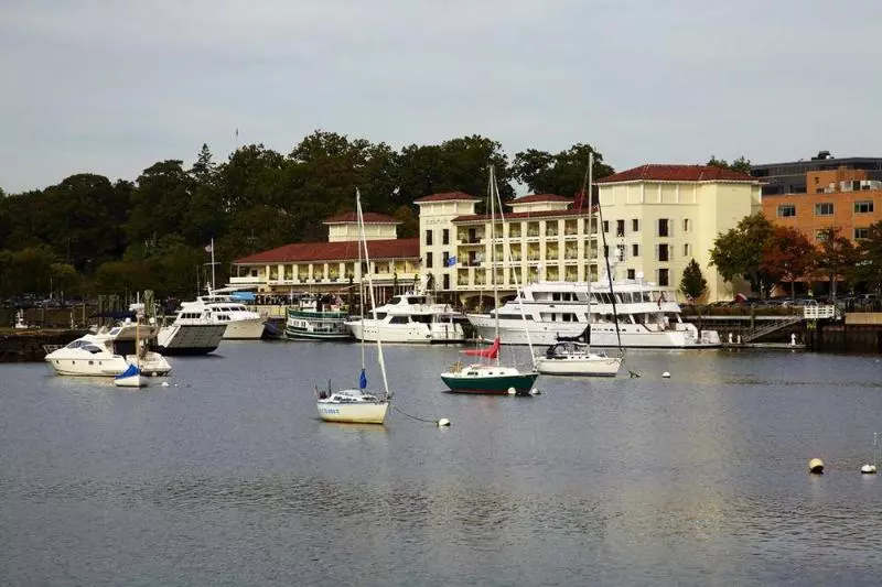 فندق Delamar Greenwich Harbor