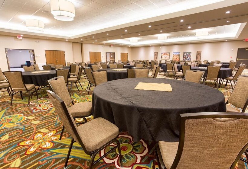 هتل Drury Inn & Suites Mcallen