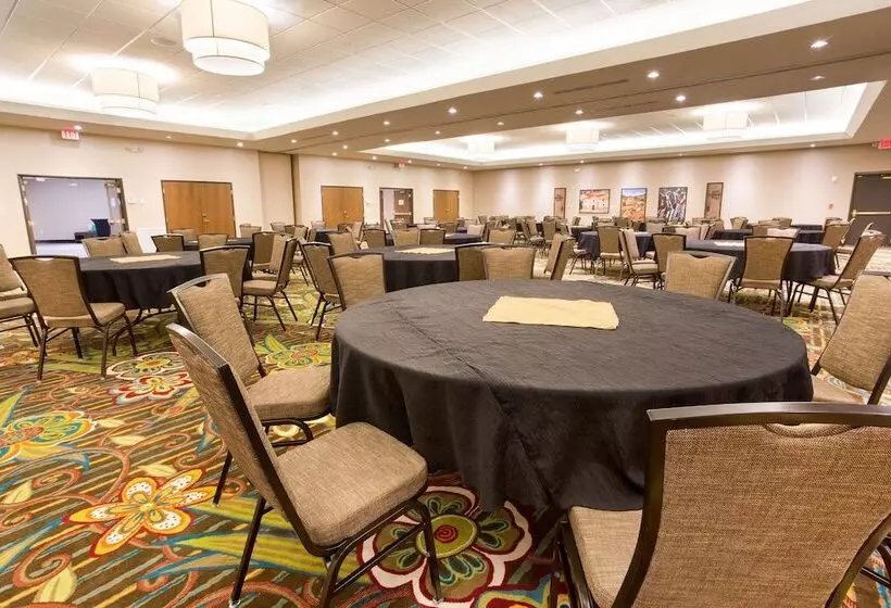 Hotelli Drury Inn & Suites Mcallen