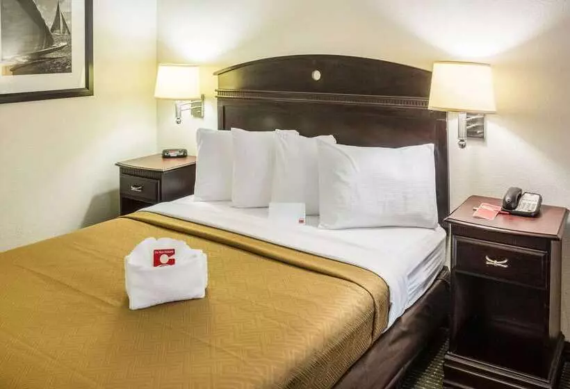 Отель Econo Lodge