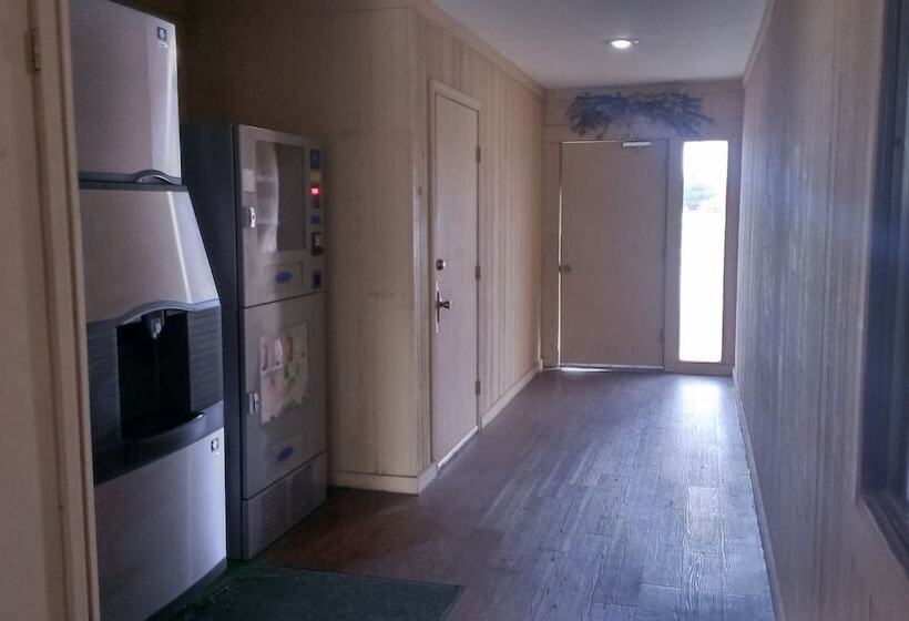 בית מלון כפרי Green Bird Inn