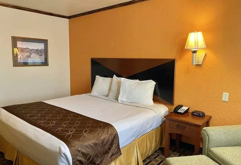 فندق Green Bird Inn