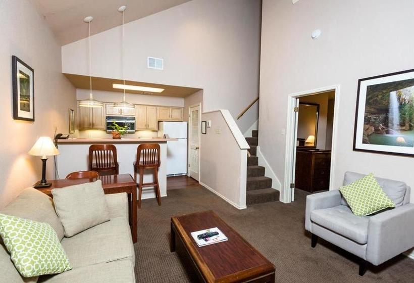 酒店 Habitat Suites