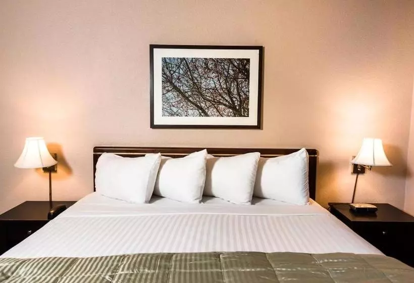 ホテル Habitat Suites