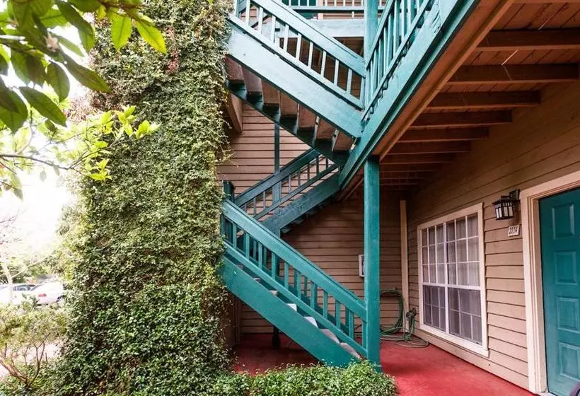 ホテル Habitat Suites