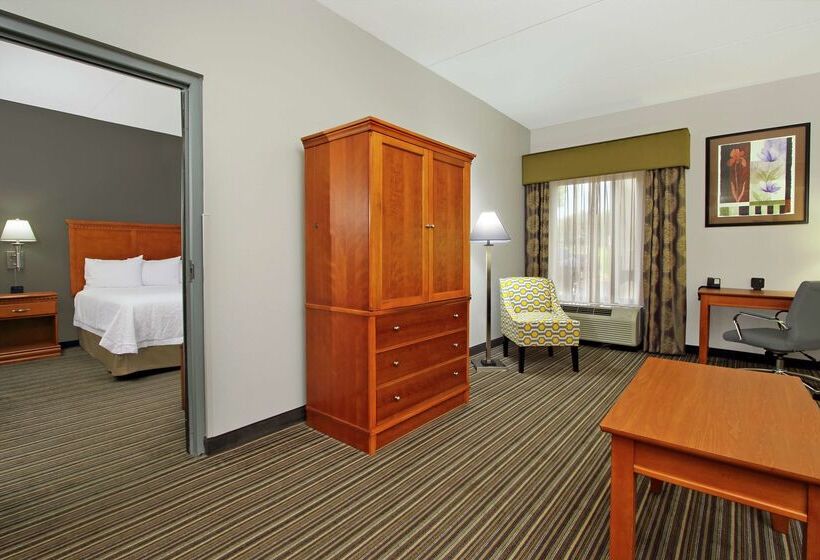 ホテル Hampton Inn Ashtabula