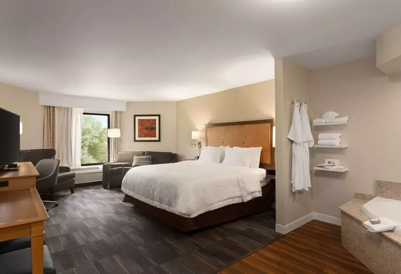 هتل Hampton Inn Fort Smith