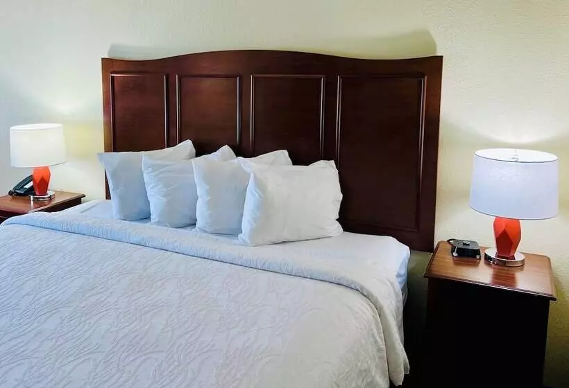 Отель Hampton Inn Norfolk/chesapeake