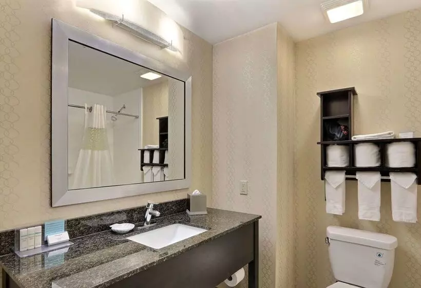 Отель Hampton Inn Savannah I 95/richmond Hill