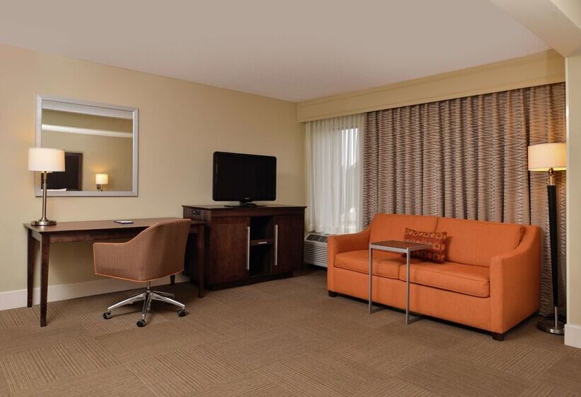 ホテル Hampton Inn South Hill