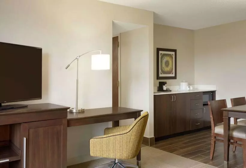 酒店 Hampton Inn & Suites Springdale