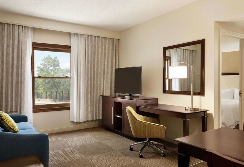 ホテル Hampton Inn & Suites Springdale