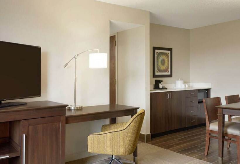 ホテル Hampton Inn & Suites Springdale