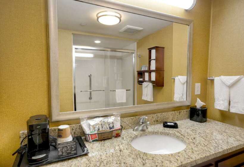 ホテル Hampton Inn & Suites Tifton
